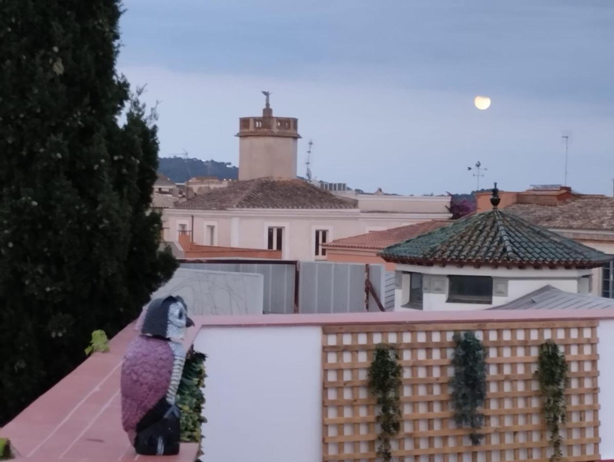 Apartaments L'Arc Palafrugell Eksteriør billede